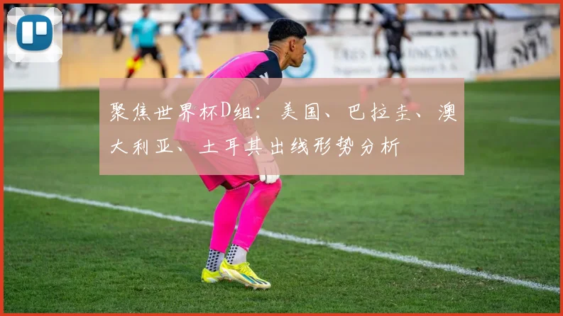 聚焦世界杯D组：美国、巴拉圭、澳大利亚、土耳其出线形势分析
