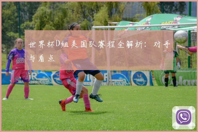 世界杯D组美国队赛程全解析:对手与看点