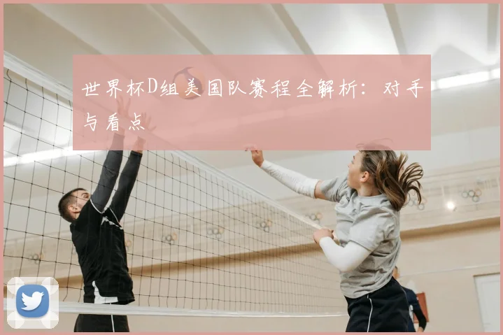 世界杯D组美国队赛程全解析:对手与看点