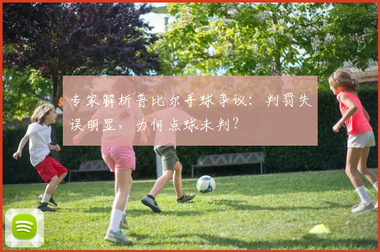 专家解析普比尔手球争议：判罚失误明显，为何点球未判？